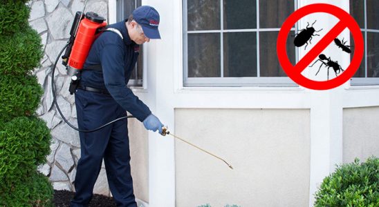 Çaldıran Kemirgen İlaçlama böcek ilaçlama ve haşere kontrolü — ilaclama-tr.com